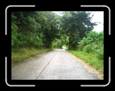 Tortola 111 * Jungle road * 2048 x 1536 * (1.85MB)